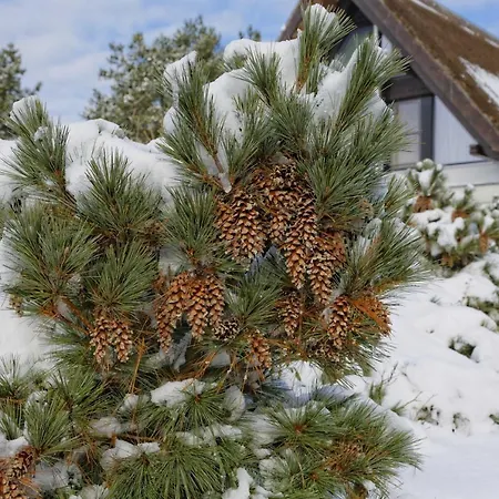 Kapitaensweg 4 Koje 01 * Karlshagen