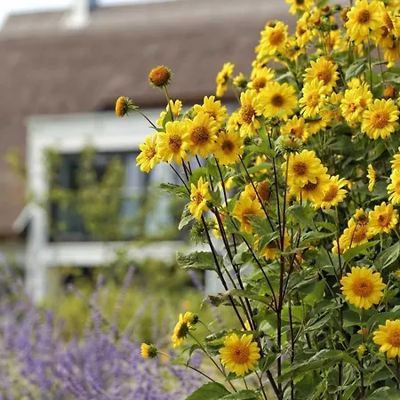 Kapitaensweg 4 Koje 01