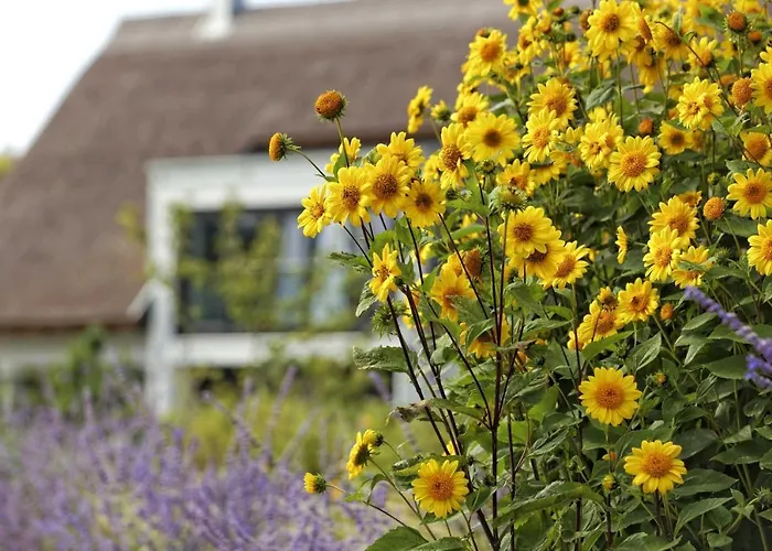 Kapitänsweg 4 Koje 01