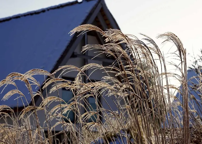 Kapitänsweg 4 Koje 01 Karlshagen